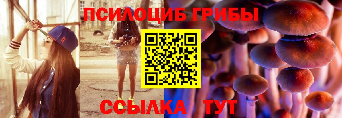 Галлюциногенные грибы GOLDEN TEACHER Уварово